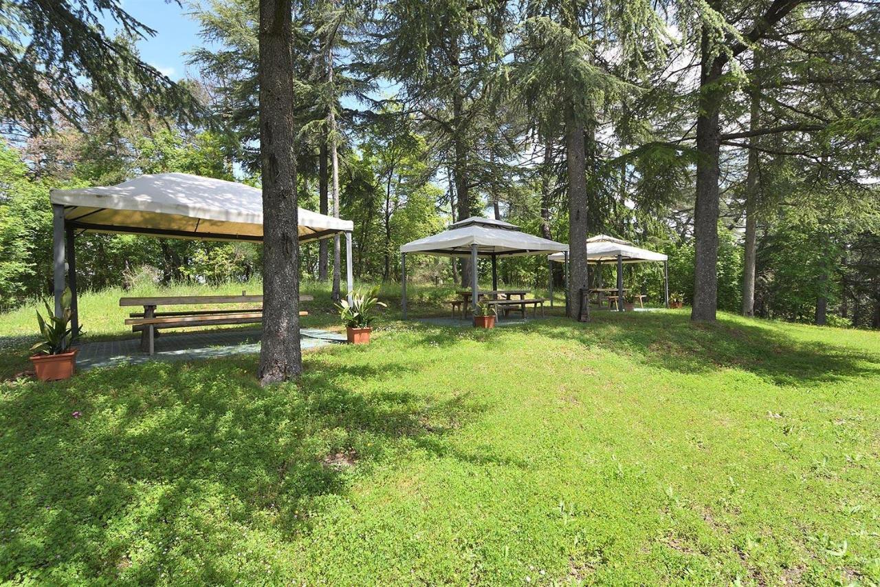 Апартаменты Luciana In Chianti Гайоле-ин-Кьянти Экстерьер фото